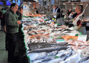 Conoscere i metodi di pesca per informare i consumatori