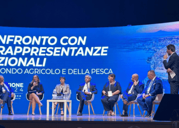 Cooperazione e filiere determinante per il reddito dei pescatori