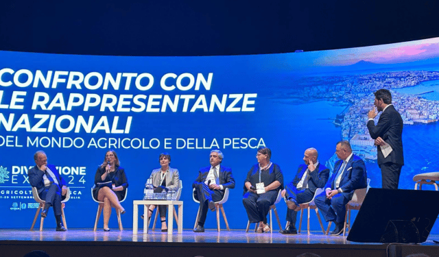 Cooperazione e filiere determinante per il reddito dei pescatori