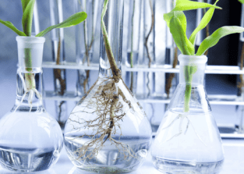 Dagli scarti di pesce prodotti ad alto valore commerciale