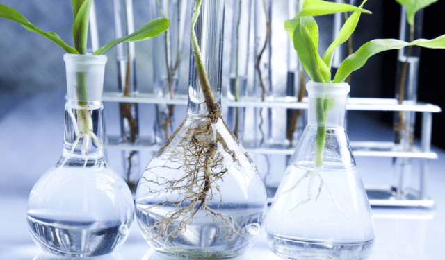 Dagli scarti di pesce prodotti ad alto valore commerciale