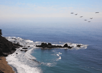 Dalle maree alle zone FAO, il ruolo fondamentale degli Oceani