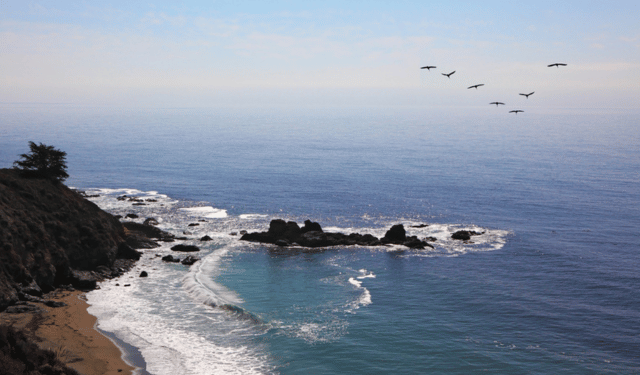 Dalle maree alle zone FAO, il ruolo fondamentale degli Oceani