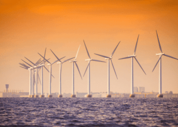 Eolico offshore e il suo impatto sulla pesca 