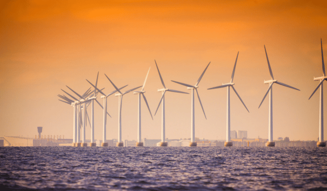 Eolico offshore e il suo impatto sulla pesca 