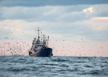 L'UE propone limiti di pesca per Mediterraneo e Mar Nero