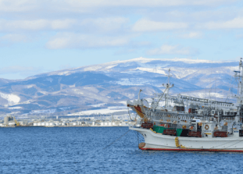 L'impatto del cambiamento climatico sugli stock ittici giapponesi