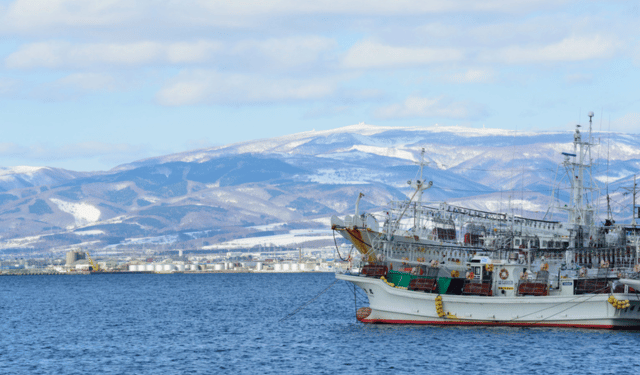 L'impatto del cambiamento climatico sugli stock ittici giapponesi