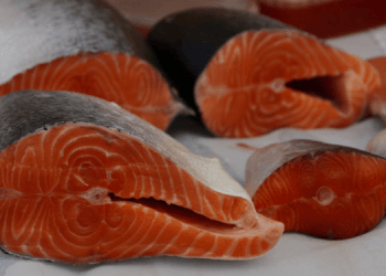 Norvegia sigla accordo per esportare prodotti acquacoltura in Brasile