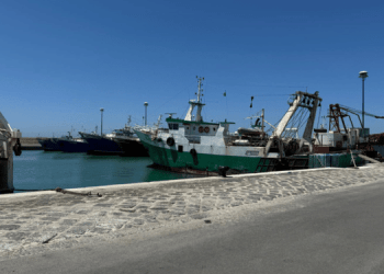 Pesca. Opportunità di cooperazione tra Italia e Libia