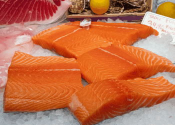 Salmone. Previsioni 2025: produzione in aumento e prezzi in calo