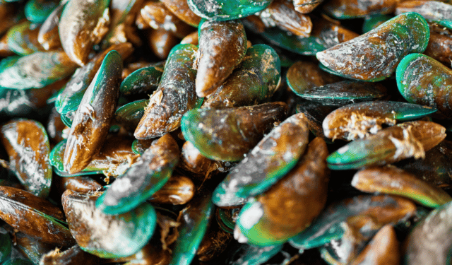 Scoperta rivoluzionaria sul genoma delle cozze verdi