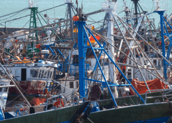 UE potenzia strumenti contro pratiche di pesca non sostenibili