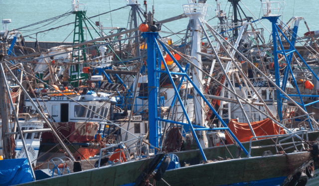 UE potenzia strumenti contro pratiche di pesca non sostenibili