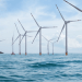 Eolico offshore e pesca: dalla Nuova Scozia al Mediterraneo