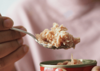 ANCIT: “Nessun rischio per la salute. Sicurezza alimentare una priorità per i conservieri ittici”