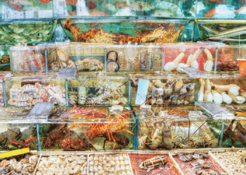 Cina: opportunità per il settore ittico grazie alla domanda di pesce vivo