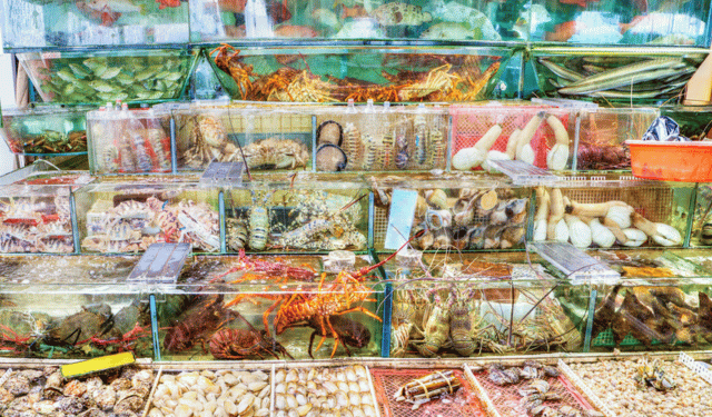 Cina: opportunità per il settore ittico grazie alla domanda di pesce vivo