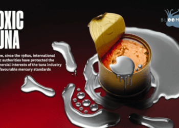 Contaminazione da mercurio: BLOOM rivela uno scandalo di salute pubblica di dimensioni senza precedenti