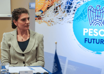 Federpesca: eolico offshore sempre più attento al coinvolgimento del settore