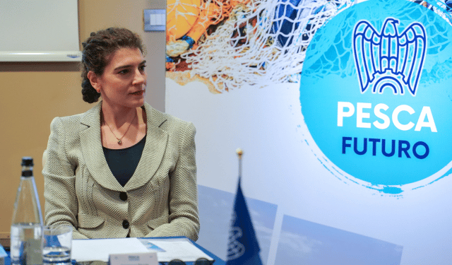 Federpesca: eolico offshore sempre più attento al coinvolgimento del settore