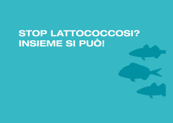 Lattococcosi nelle specie marine: una sfida da affrontare con strategie condivise