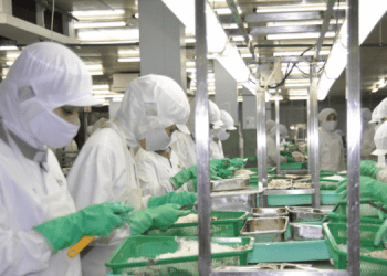 L'aumento della domanda globale di vongole spinge l'export vietnamita