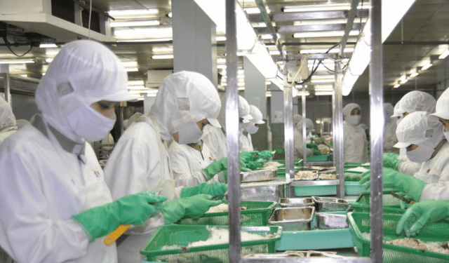 L'aumento della domanda globale di vongole spinge l'export vietnamita