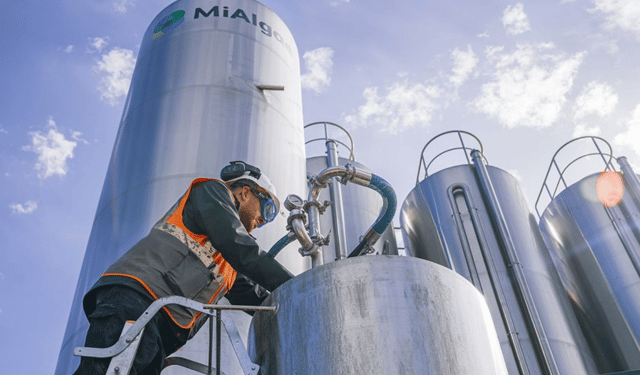 MiAlgae, esempio eccellente di sostenibilità