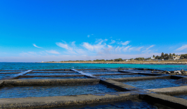 Mitilicoltura: danni milionari e sfide per il settore in Puglia