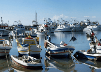 Pesca: da Alleanza Cooperative parte fronte europeo per moratoria a nuovi divieti