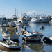 Pesca: da Alleanza Cooperative parte fronte europeo per moratoria a nuovi divieti