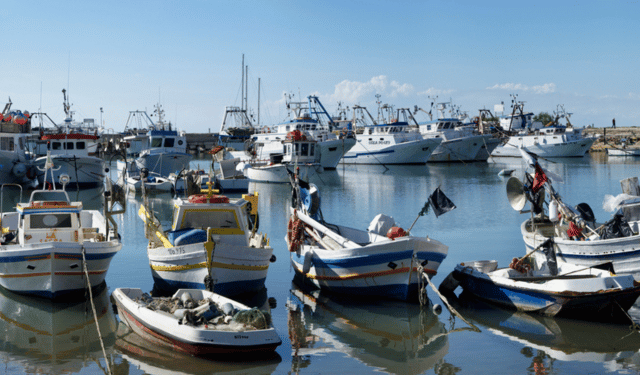 Pesca: da Alleanza Cooperative parte fronte europeo per moratoria a nuovi divieti