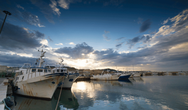 Pesca oceanica: l'epopea italiana