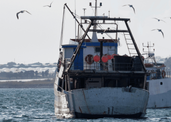 Il 9 ottobre a Fiumicino il convegno Uila Pesca "Orizzonte Pesca"