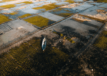 5,7 milioni da UE per economia blu sostenibile nei bacini marittimi europei