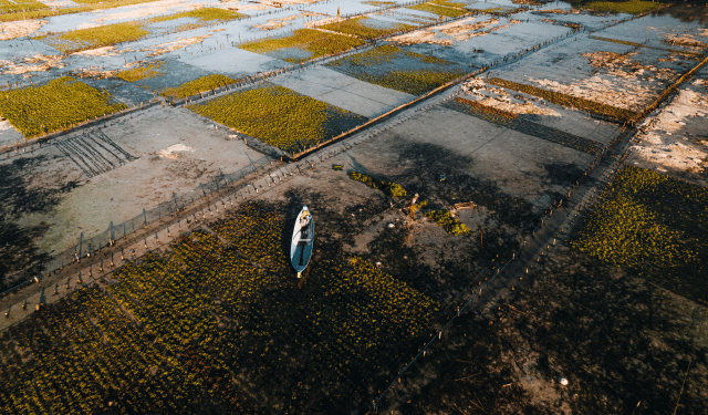 5,7 milioni da UE per economia blu sostenibile nei bacini marittimi europei