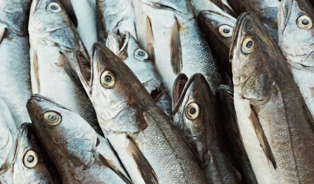 Tendenze globali nel mercato del pesce bianco