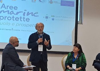 Urgente pianificazione spaziale marittima per AMP e pesca