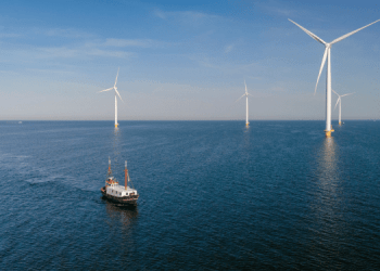 Barriere artificiali in eolico offshore: habitat promettente per le specie marine