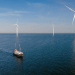 Barriere artificiali in eolico offshore: habitat promettente per le specie marine