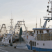 ETF, Europêche e COGECA: appello per i pescatori del Mediterraneo