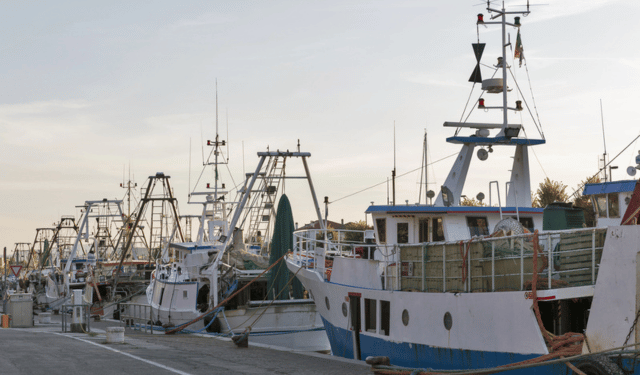 ETF, Europêche e COGECA: appello per i pescatori del Mediterraneo