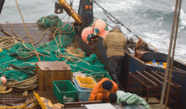 Entro il 30 novembre è possibile presentare la candidatura per il STECF