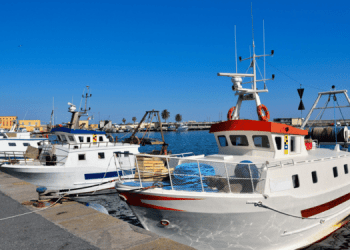 Federpesca: bene impegno del governo a difesa del settore pesca