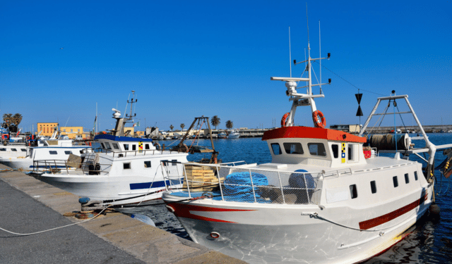 Federpesca: bene impegno del governo a difesa del settore pesca