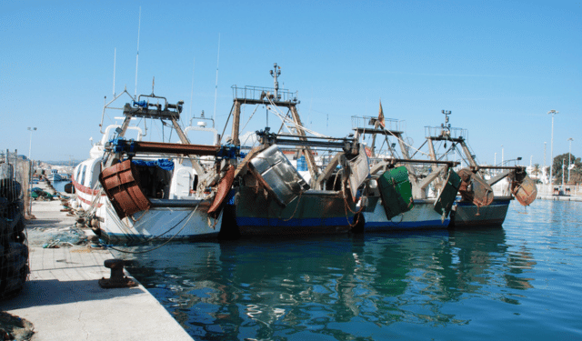 Flotta peschereccia UE: crescita economica e sostenibilità 