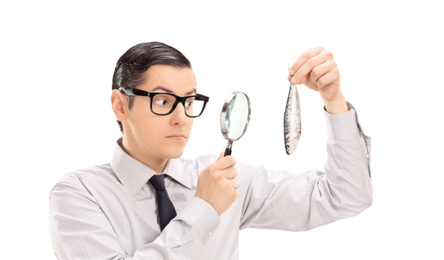 Gli audit di certificazione: un viaggio dietro le quinte della qualità