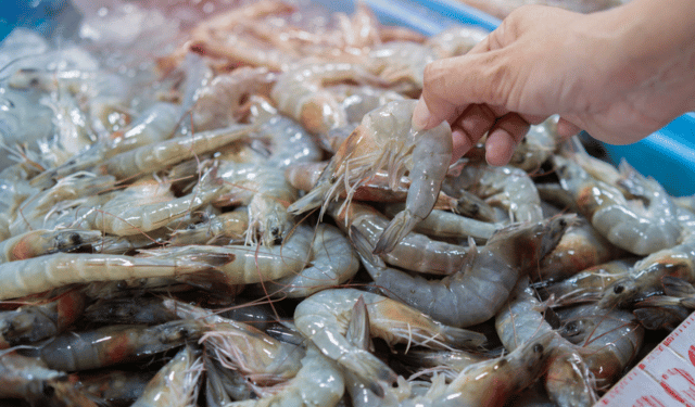 In calo le esportazioni di gamberi dall'Ecuador