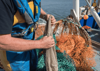 La Commissione propone opportunità di pesca 2025 per Atlantico, Kattegat e Skagerrak